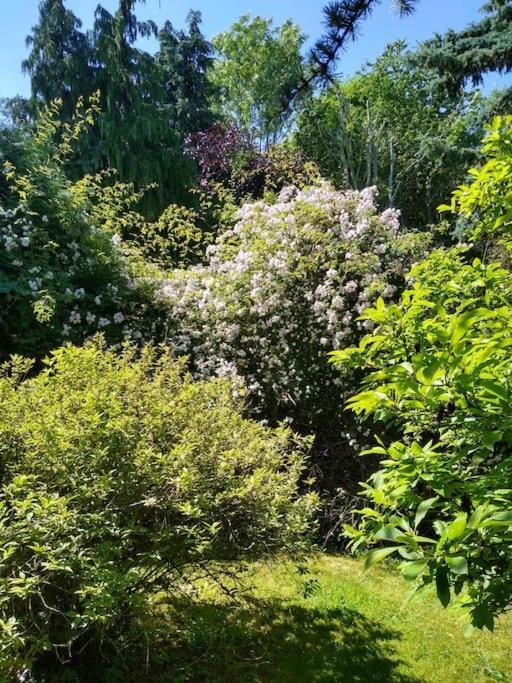 Barn In Beautiful Countyside * Watford (Hertfordshire)