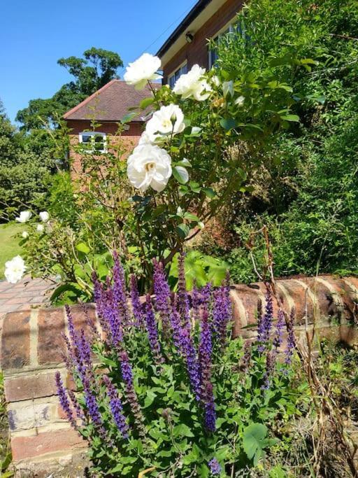 Barn In Beautiful Countyside * Watford (Hertfordshire)